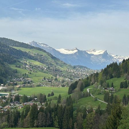 Chalet Saint Victor, Praz Sur Arly エクステリア 写真